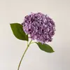 Alta simulación gran hortensia profundidad múltiples colores para hacer pared de propuesta más realista verano sin fin hortensia impresión 3D