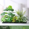 Paisagismo com Plantas Verdes Simulação Floreira Divisória de Piso Arte Floral de Chão Paisagem de Plantas Combinação de Floreira Flor Artificial em Vaso Bonsai Decoração