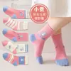 [Estilo Quente] Meias Infantis Transfronteiriças para Meninos e Meninas Primavera e Outono Novas Meias Tendência de Tubo Médio com Desenho de Urso Xadrez