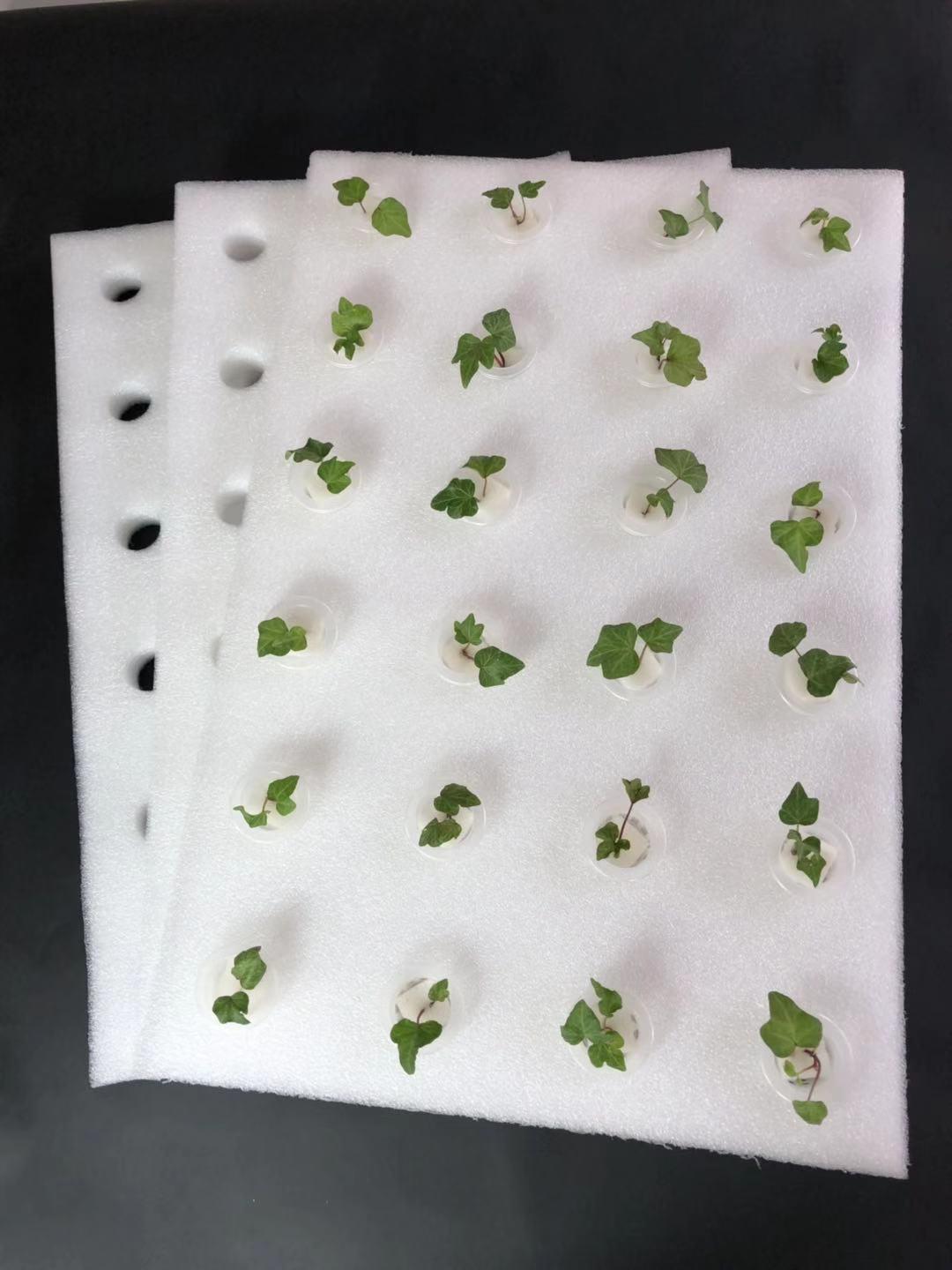 b6da385d815d31047be8959d91b754