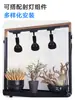 Bombilla Guixiang Foco E27 para Cultivo de Plantas para Uso Doméstico, Adecuada para Agaves Enraizados, Luz LED de Espectro Completo para Crecimiento de Plantas