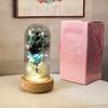 Flor Eterna cubierta de vidrio rosa luminosa flor seca cubierta antipolvo transparente escritorio música pequeños adornos regalo de San Valentín