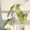 Planta Verde Artificial con Ramas Altas de 5 Puntas de Hojas de Alocasia para Decoración de Bodas, Fotografía del Hogar al por Mayor