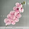 Phalaenopsis francesa de 9 cabezas, decoración para el hogar, decoración de bodas, accesorios para fotos, decoración de bodas en hoteles.