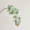 Cabo de cola de alta simulação 9 cabeças Phalaenopsis flor de simulação flor artificial decoração casa quarto armário de TV decoração