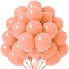 Balões de Aniversário Amazon 10 polegadas Conjunto de Balões de Cor Sólida Balões para Decoração de Feriado Balões Metálicos Foscos Maca