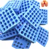 Columna de Esponja Absorbente de PVA Blanco Nido de Hormigas Nido Punto Absorbe Agua e Hidrata Bloqueo de Tubo de Ensayo Columna de Espuma de PVA