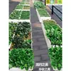 Maceta para Plantar Verduras en Balcón Caja para Plantar Verduras Huerto en Azotea Plantar Verduras Caja para Plantar en Azotea Familiar Piezas