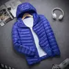 Liquidación de fin de temporada Pedido original de comercio exterior alemán Algodón plumón Ultraligero Algodón talla grande Hombre Primavera Algodón ligero