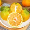 Mandarinas Yunnan Fuyu 5kg Fruta Fresca de Temporada Caja Entera Envío Gratis Venta Directa