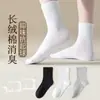 Calcetines Negros para Mujer, Estilo Primavera y Otoño, Calcetines de Media Pantorrilla, Color Sólido, Calcetines Deportivos Cortos Blancos de Verano para Estudiantes, Calcetines Finos de Algodón Cómodos para Hombre