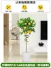 Árvore de limão Four Seasons Fruit em vaso com frete grátis, varanda com mudas de brotos de frutas, plantas de pátio, árvores frutíferas, plantas verdes para ambientes internos