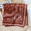 Pañuelo Cuadrado Pequeño de 70cm Pañuelo Nuevo para Mujer Protección de Cuello para Primavera y Otoño Pañuelo Pequeño Corea del Sur Artístico Combinable Cashew Retro Corbatas Cinta para el Cabello