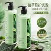 Shampoo Refrescante e Volumoso Folha de Platycladus Aloe Vera Baizhentang Atacado Cabelo Refrescante, Volumoso e Liso Cuidado Capilar Sedoso