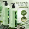 Baizhentang Hojas de Platycladus Sábila Champú Refrescante y Esponjoso Mayoreo Cabello Refrescante, Esponjoso y Suave Cuidado Sedoso del Cabello