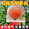 Bolsa para Frutas Bolsa a Prueba de Plagas y Pájaros Maracuyá Cera Manzana Nispero Bolsa de Malla No Tejida