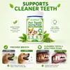 KineShineX Polvo Limpiador de Dientes para Perros y Gatos Fórmula Verde Polvo Limpiador Dental para Mascotas Refresca el Aliento Higiene Bucal Diaria
