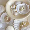 Conchas blancas naturales, conchas Xia Yi, ramos de flores, accesorios decorativos, suministros para floristería, arte floral, materiales para manualidades al por mayor