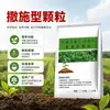 Fertilizante Granular de Propósito General Resistente a Enfermedades del Suelo para Cultivos de Campo de Frutas Melón y Verduras Tipo Broadcast