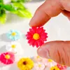 Acessórios de Flor Margarida Desenho Animado Resina DIY Cola de Creme Capa de Celular Ímã de Geladeira Furo Fivela de Sapato Acessórios para Cabelo Acessórios