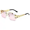 Gafas de Sol Redondas con Doble Puente y Cabeza de Leopardo para Hombres y Mujeres, Protección UV, Gafas de Sol de Moda, Estilo de Alta Gama para Hombres