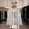 Camiseta holgada de manga larga para mujer estilo coreano para otoño e invierno, hecha de seda de leche con acabado doblemente cepillado, top de longitud media estilo ins para mujer, venta al por mayor transfronteriza