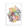 Anatomia Humana Músculo Arte Pintura a Óleo Poster Escandinavo Imagem Mapa Corporal Fundo de Casa Pintura Decorativa Núcleo