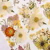 Materiais DIY para gravação em relevo com flores secas, porta-retrato com flores prensadas em resina de flor real, marcador de página com espécime de planta feito à mão, kit de material para pintura de folhas