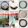Jardinería alambre plastificado soporte para flores carnosas modelado maceta planta trepadora soporte de tracción alambre de atar tendedero hecho a mano diy