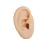 Modelo de características faciales de simulación, orificios para ejercicios auriculares, accesorios de enseñanza, clavo de lengua, clavo de nariz, display de boca y ombligo, molde de silicona