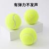Pelota Chillona Resistente a Mordidas de TPR de Venta Caliente Transfronteriza, Juguete Elástico para Limpiar Dientes de Perro y Aliviar el Estrés, Suministros para Mascotas