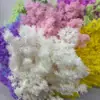 Materiales para Ramo de Fuegos Artificiales Pino Penglai Eterno Ramas Cortas Ramas Largas Materiales Hechos a Mano Arreglo de Ramo Floral