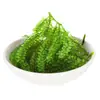 Uvas de Mar Listas para Comer Algas Saladas para Niños Plato Frío Fresco Uvas de Agua Vegetales Marinos Caviar Verde Algas Marinas