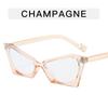 Montura de Gafas Poligonal Ojo de Gato Estilo Europeo y Americano para Mujer Gafas de Nicho Anti-luz Azul Todas las Combinaciones Moda de Alta Gama Gafas Planas