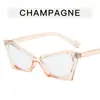Montura de Gafas Poligonal Ojo de Gato para Mujer Europea y Americana Nicho Pasarela Gafas Anti-azul Personalizadas Versátiles de Alta Calidad Gafas Planas