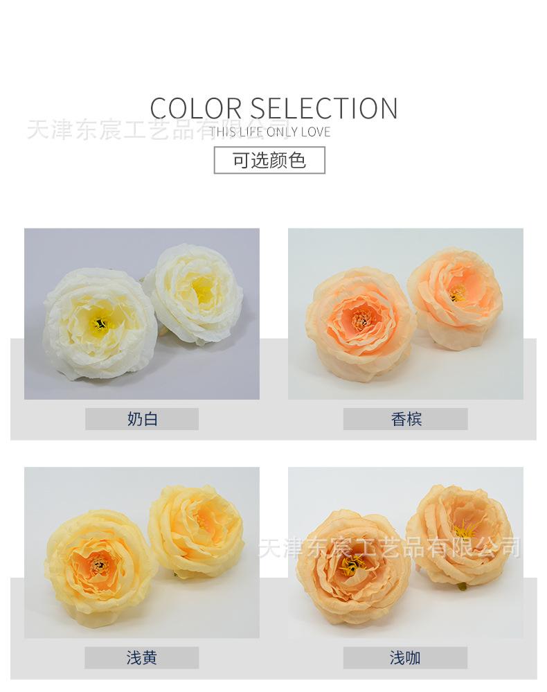 详情_02.jpg