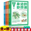 Increíble China (4 volúmenes) - Tesoros Nacionales - Libro de Lectura Extracurricular para Estudiantes de 4º, 5º y 6º Grado de Primaria