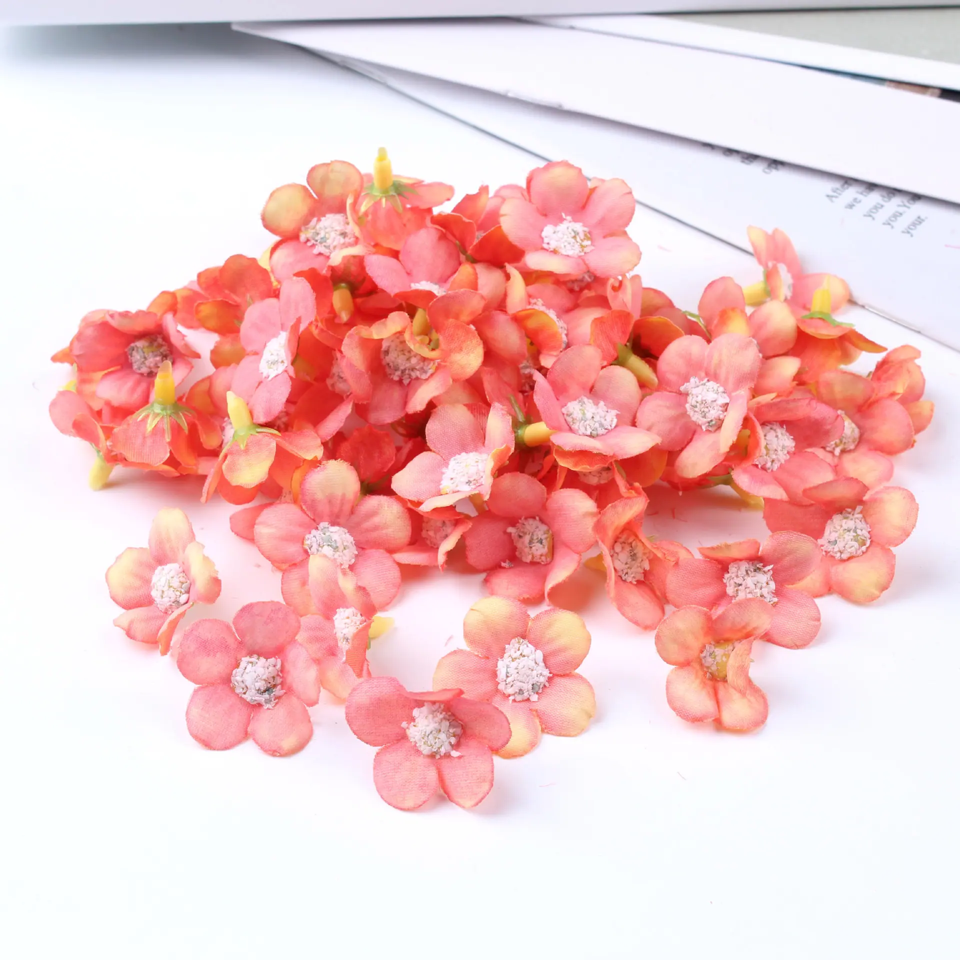 迷你小菊花26