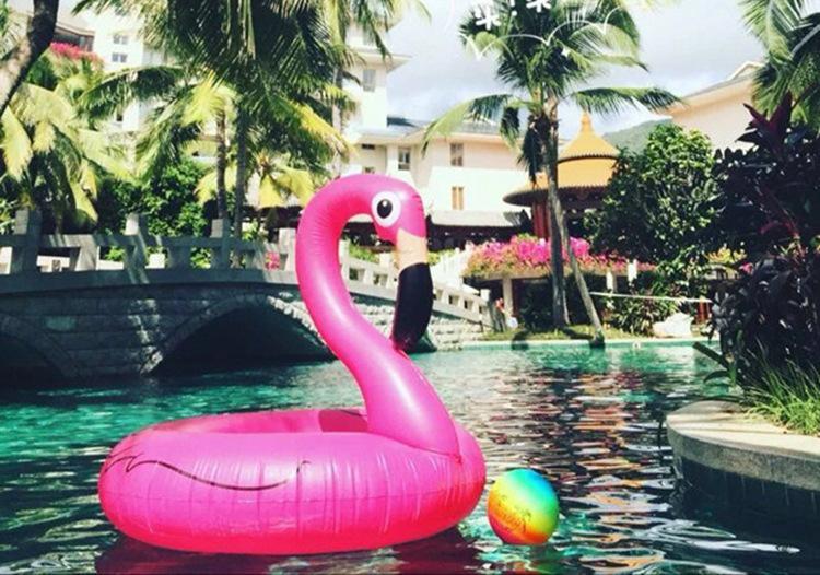 2970338033_1907860240