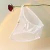 2026 Nuevas Bragas de Encaje Satinado Suave Moda Femenina Malla Semi-Transparente Hueco Metal Tentación Calzones para Mujer