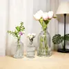 Jarrón de Vidrio de Sodio-Calcio Personalizado Transfronterizo, Tarro de Almacenamiento de Vidrio, Estilo Minimalista de Lujo Ligero con Rayas Verticales, Jarrón Hidropónico para Flores de Sala de Estar