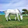 Fibra de Vidrio Directo de Fábrica Simulación Caballo Blanco Parque Jardín Calle Peatonal Paisajismo Adornos Escultura Animal Grande Pegaso
