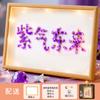 Kit DIY Flor Seca Gipsofila Moldura para Foto Material para Cerimônia Surpresa Dia das Mães e Dia dos Pais Presente Criativo de Aniversário