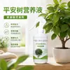 Solución Nutritiva Árbol de la Paz Promueve Nuevos Brotes Raíces Fuertes Hojas Brillantes Jardinería Interior en Casa Bonsái Árbol de la Paz Nutrición Especial para Plantas Verdes