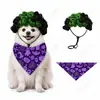 Set Divertido de Peluca y Bandana para Mascota de Halloween, Sombrero Festivo para Fotos, Babero, Suministrado Directamente por el Fabricante