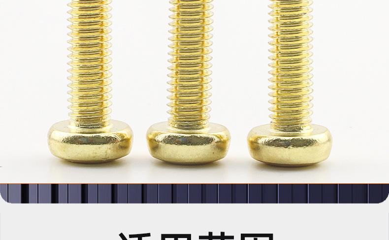 304不锈钢金色圆头梅花机牙螺丝_03_20.jpg