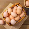 40 huevos de gallinas camperas de la granja, caja completa, envío gratis, huevos frescos alimentados con pasto, huevos de gallinas camperas alimentadas con grano, adecuados para el cuidado posparto, disponibles todo el año