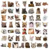 50 Pegatinas Realistas de Gatitos para Compra Directa Transfronteriza con Lindas Expresiones de Gato para Decorar Botellas de Agua y Cuadernos