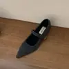 Zapatos Mary Jane de Lana Estilo Retro con Punta Aguda, Boca Baja, Tacón Grueso, Hebilla de Una Línea para Mujer con Forro de Terciopelo y Versátiles Zapatos Peludos