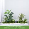 Simulação Planta Verde Paisagem Musgo Planta Falsa Decoração Flor Falsa Combinação Tropical Interior Persa Janela Paisagem Grama Layout